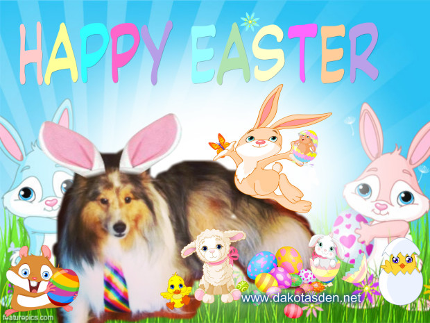 Easter Bunny Wallpapers HD