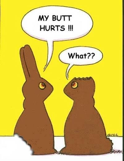 Funny Easter Images
