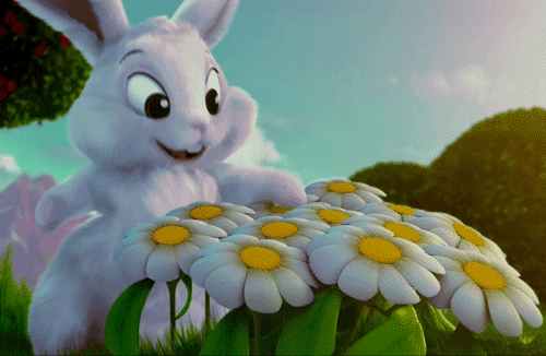 Happy Easter Animated Bunny Pictures